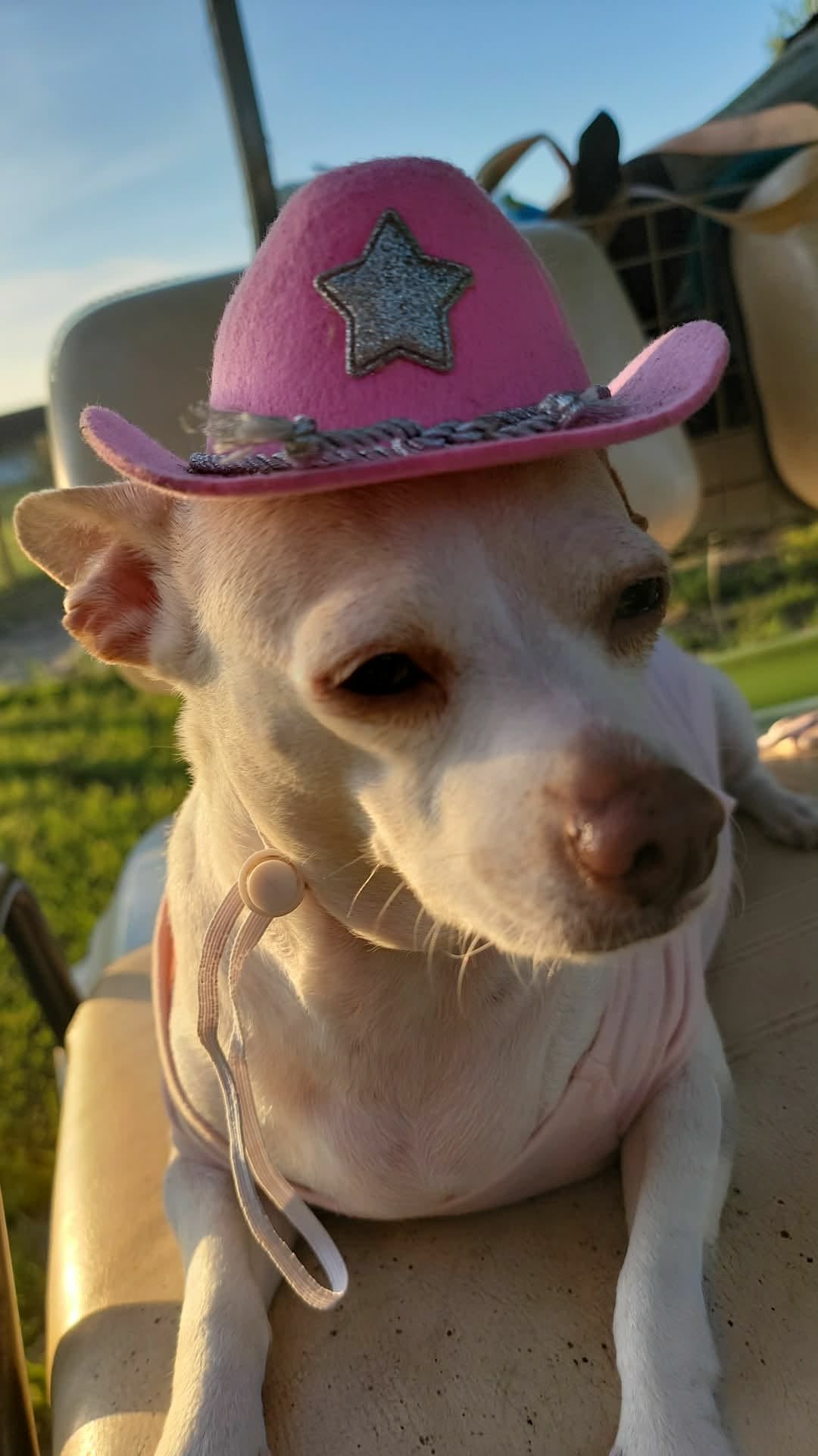 Wolf Hill Ranch Coco – I Got That Dawg In Me Tee