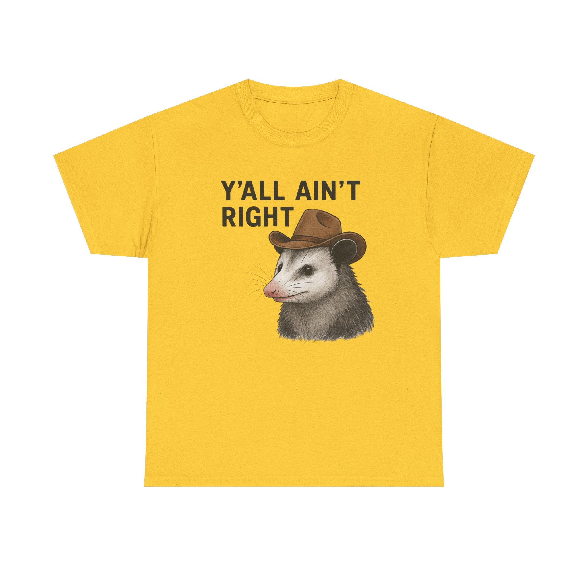 Y'all Ain't Right Possum Tee — Funny Southern Animal T-Shirt
