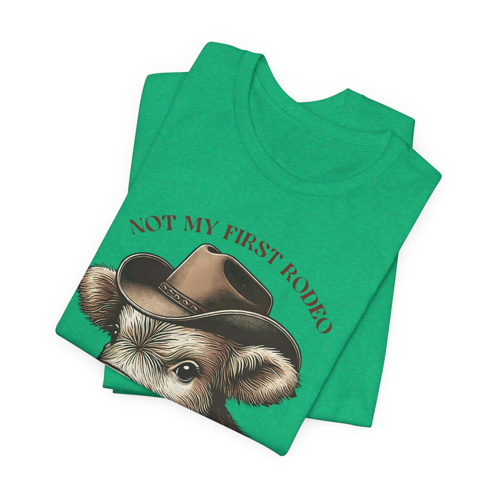 Not My First Rodeo Cow Tee — Western Cow with Cowboy Hat Graphic