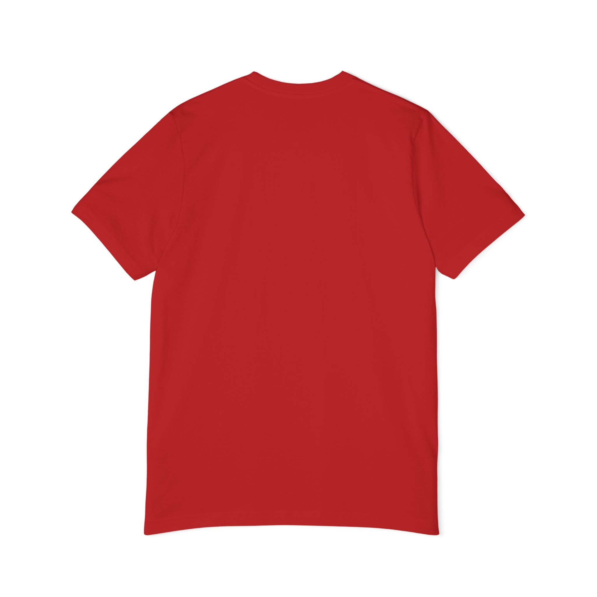 America 250 T-Shirt - 1776-2026 Patriotic Skeleton Flag Tee