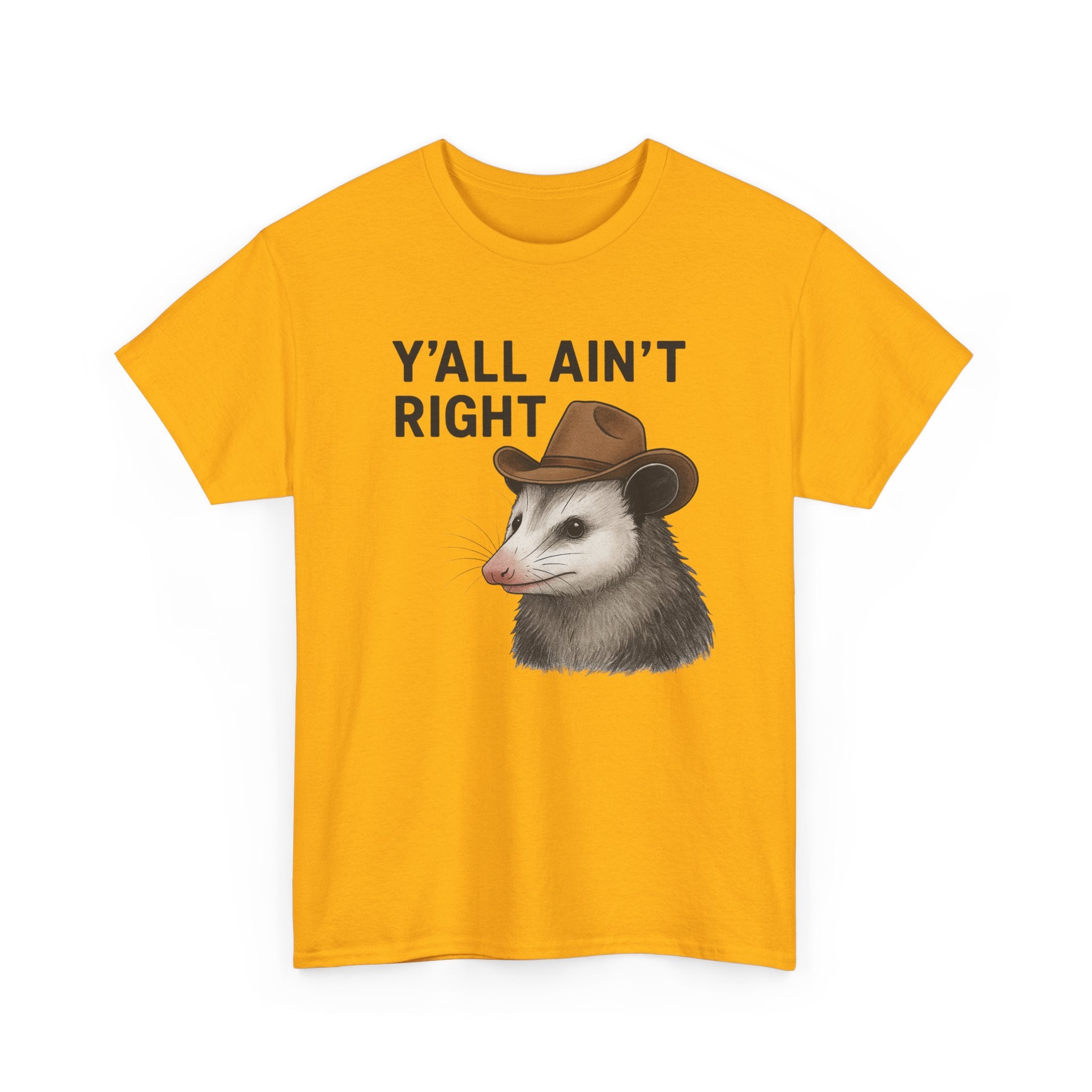Y'all Ain't Right Possum Tee — Funny Southern Animal T-Shirt