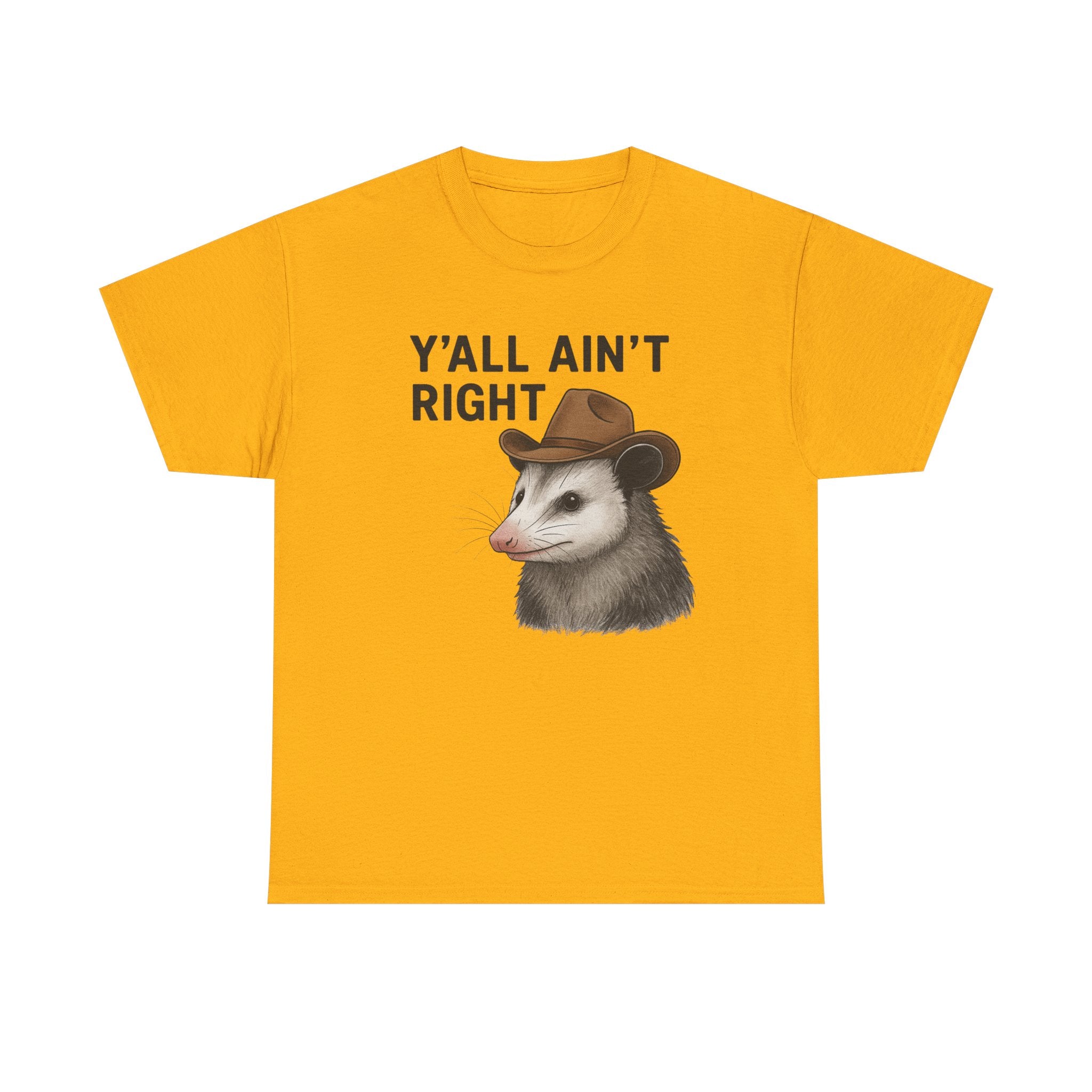 Y'all Ain't Right Possum Tee — Funny Southern Animal T-Shirt
