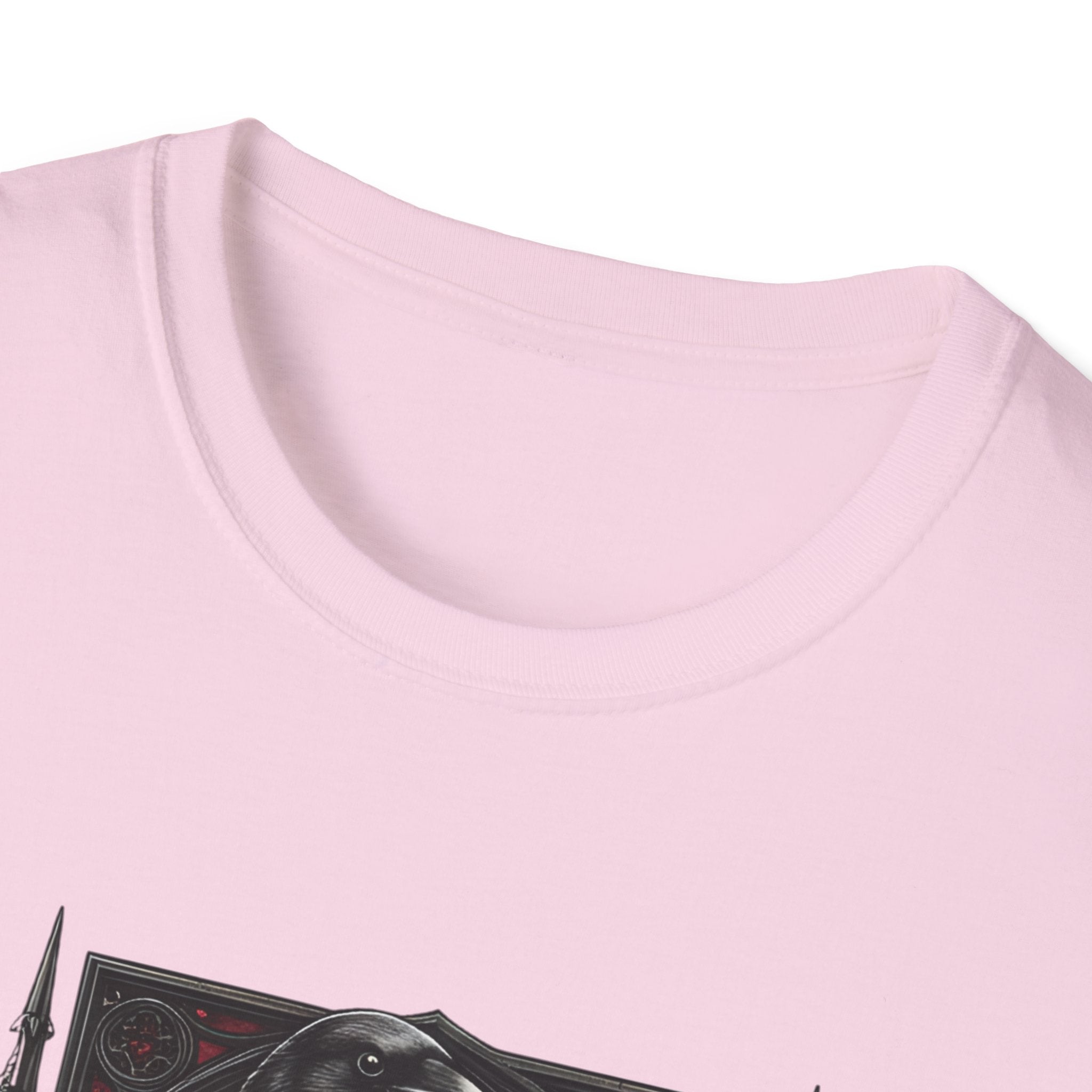 Dark Desire Gothic Skull & Raven T-Shirt Gothic Graphic Tee   Trendy T-Shirt