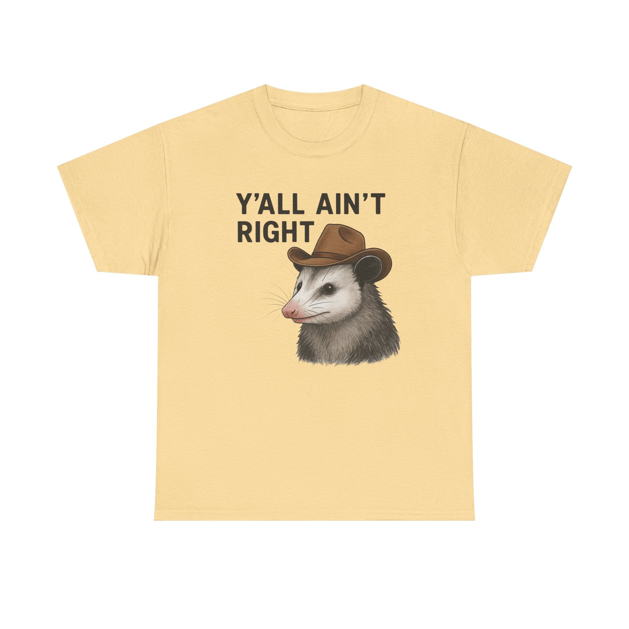 Y'all Ain't Right Possum Tee — Funny Southern Animal T-Shirt