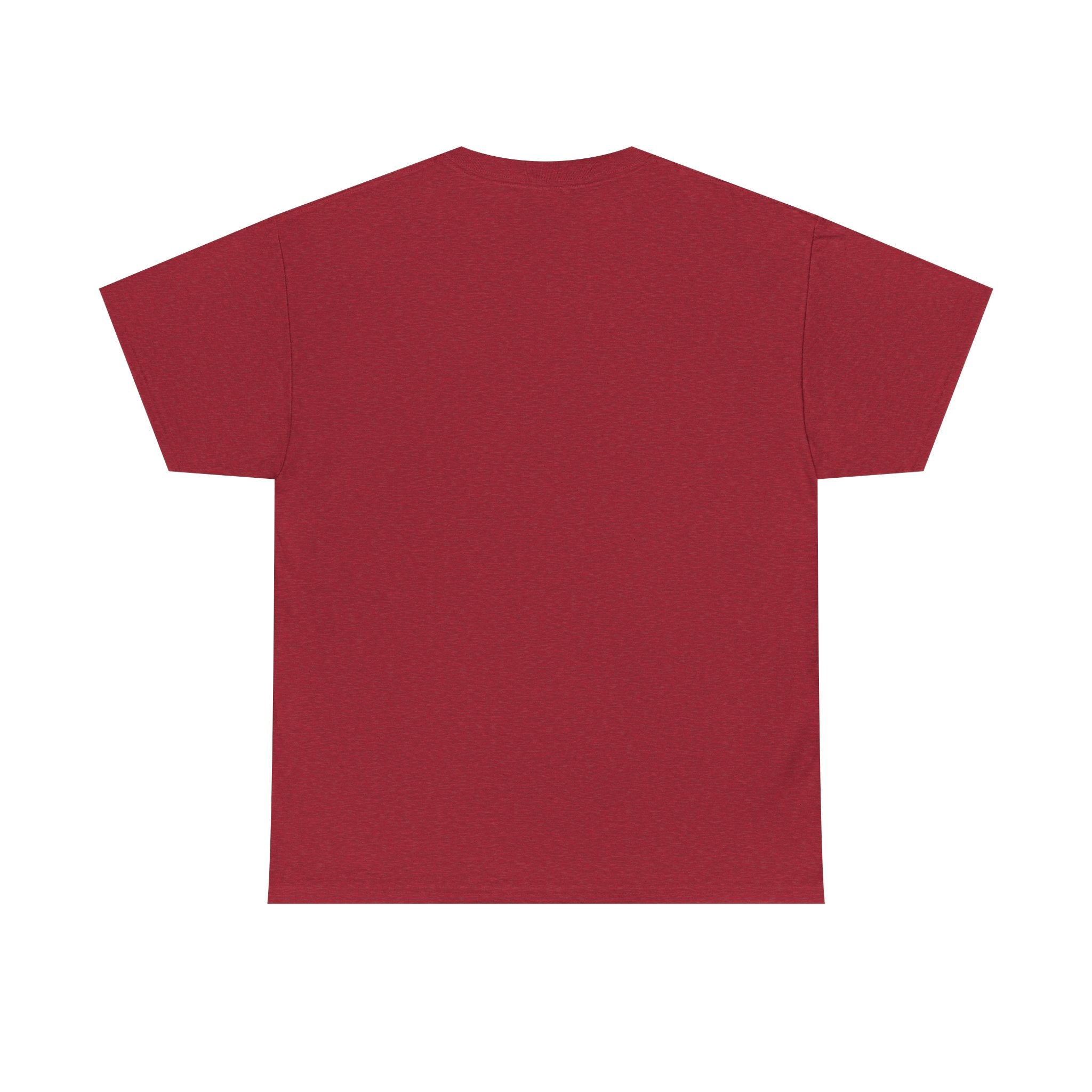 It's a Great Day to Be a Pirate T-Shirt — Funny Pirate Graphic Tee