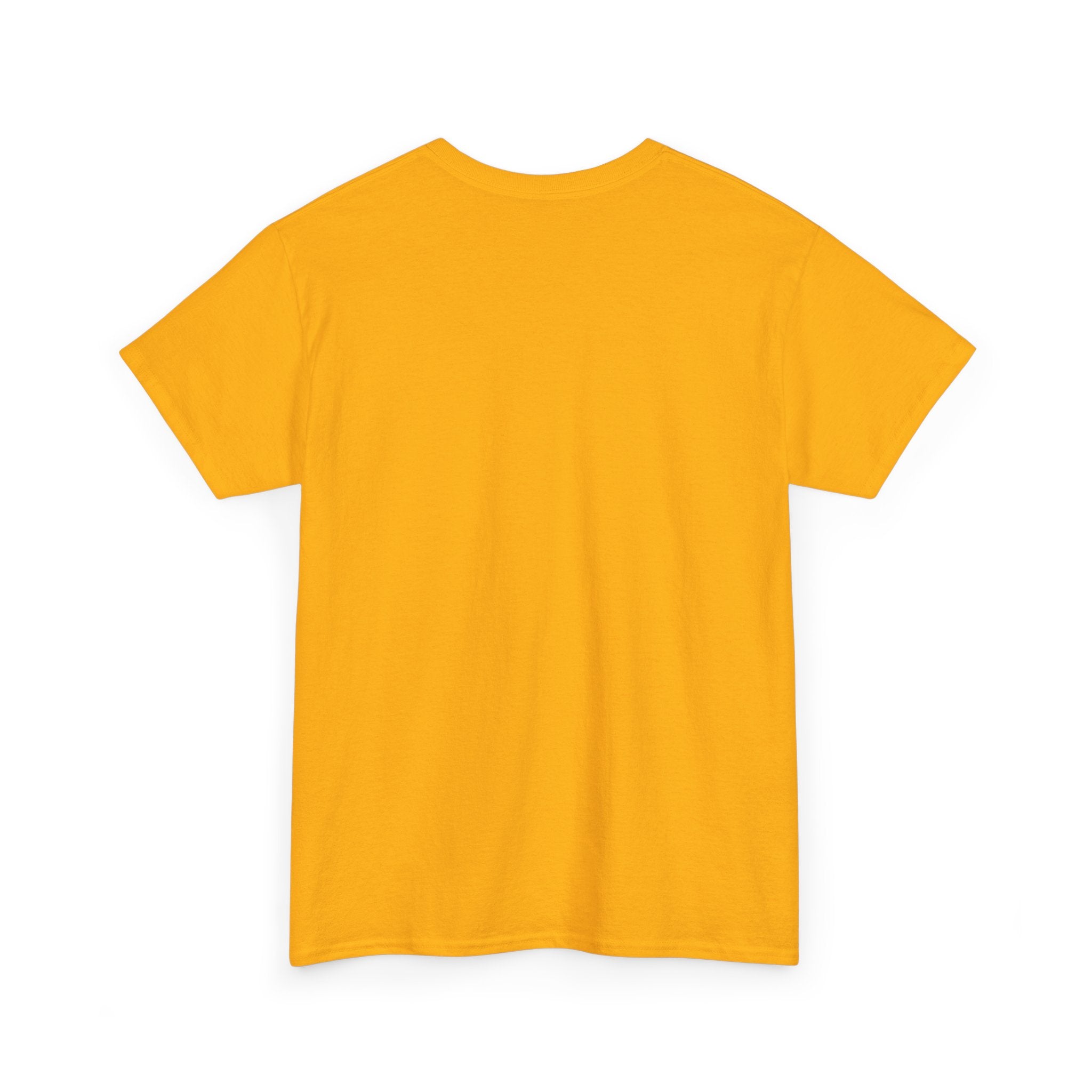 Pirate Skull Tee — "Surrender the Booty" Graphic T‑Shirt