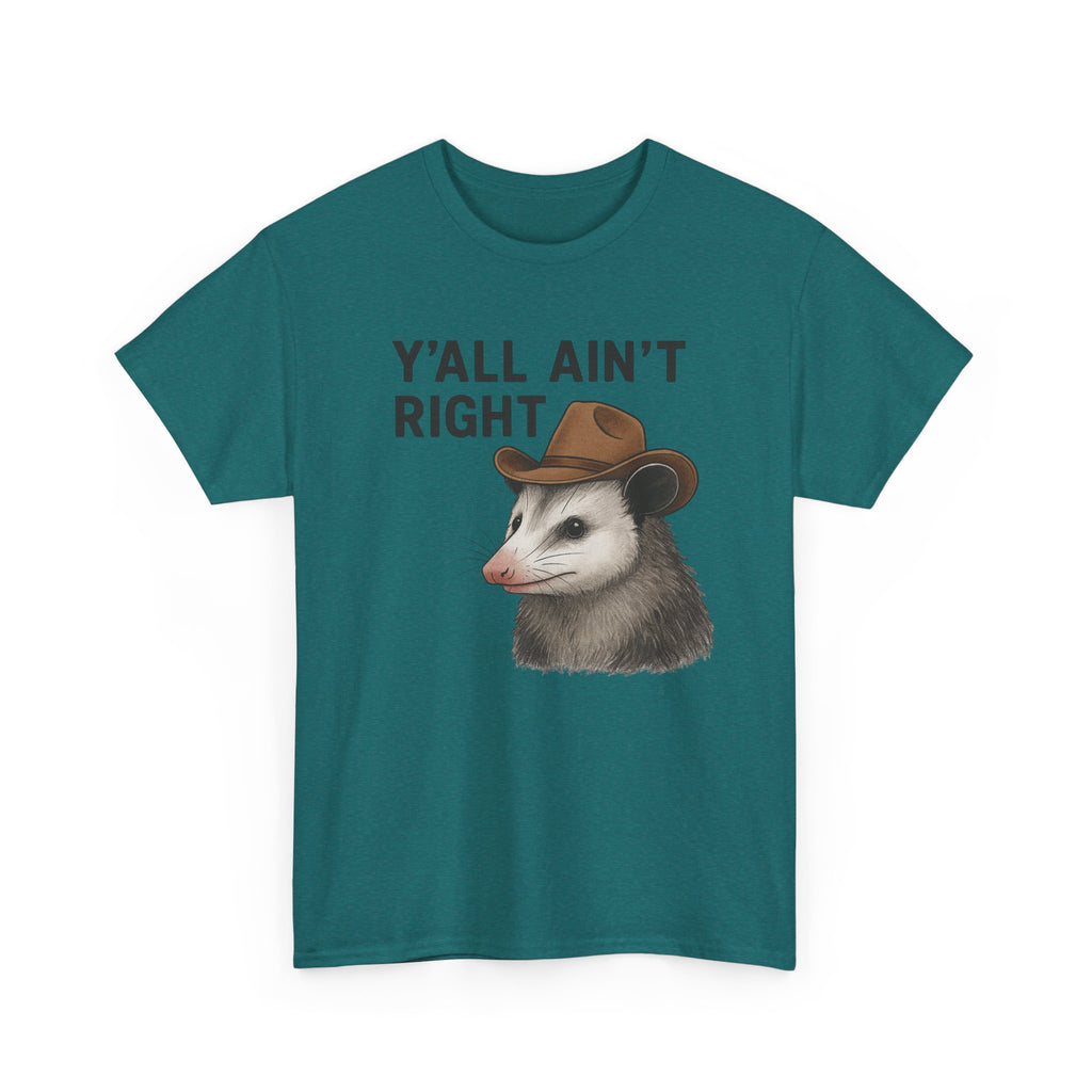 Y'all Ain't Right Possum Tee — Funny Southern Animal T-Shirt