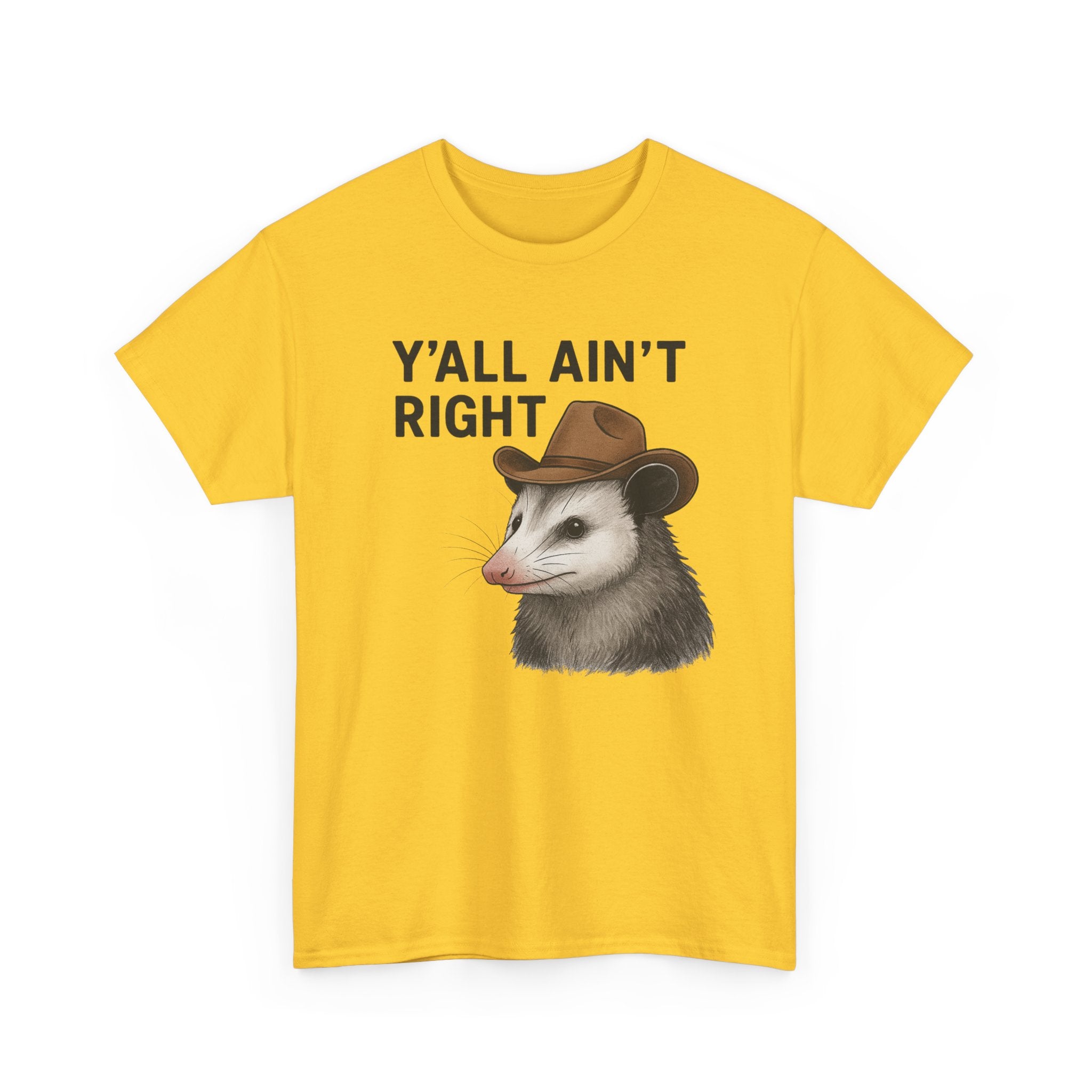 Y'all Ain't Right Possum Tee — Funny Southern Animal T-Shirt