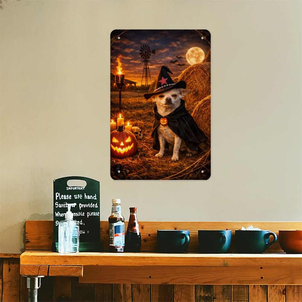 Coco of the Haunted Ranch of Wolf Hill Ranch
