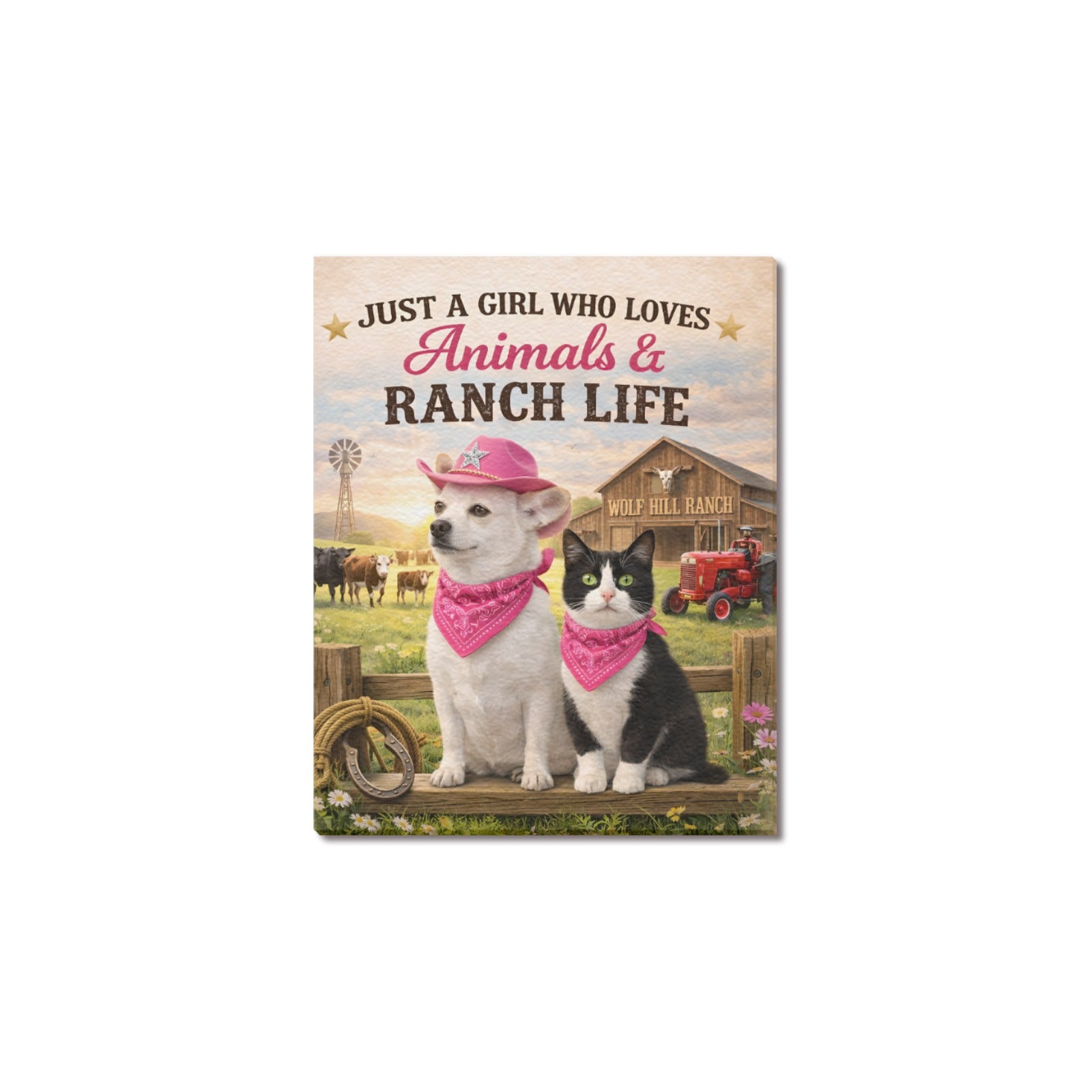 Just a Girl Who Loves Animals & Ranch Life – Coco Edition