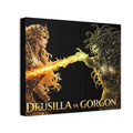 Drusilla vs Gorgon Fantasy Canvas Art – Mythic Battle Wall Decor