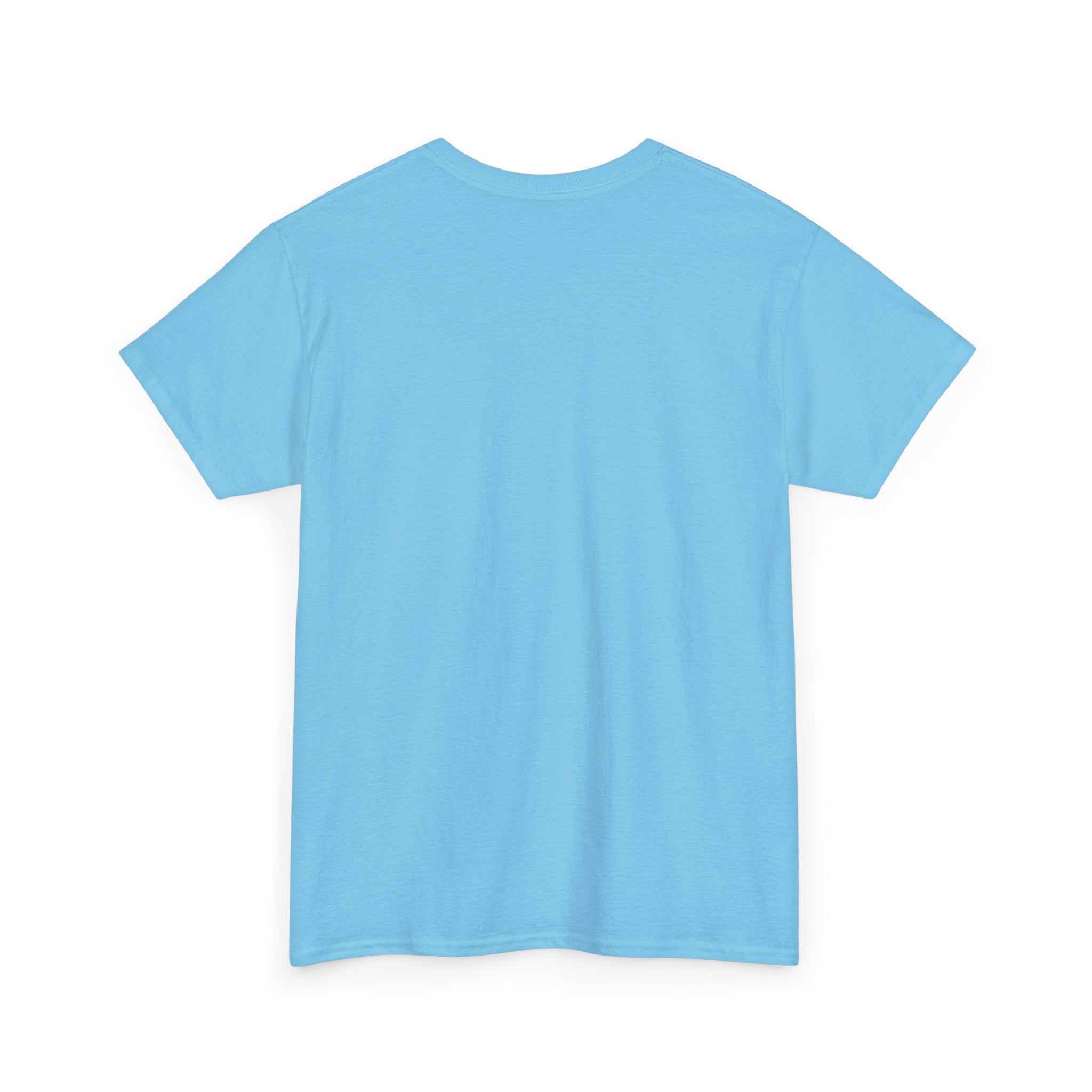 It's a Great Day to Be a Pirate T-Shirt — Funny Pirate Graphic Tee