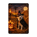 Coco of the Haunted Ranch of Wolf Hill Ranch