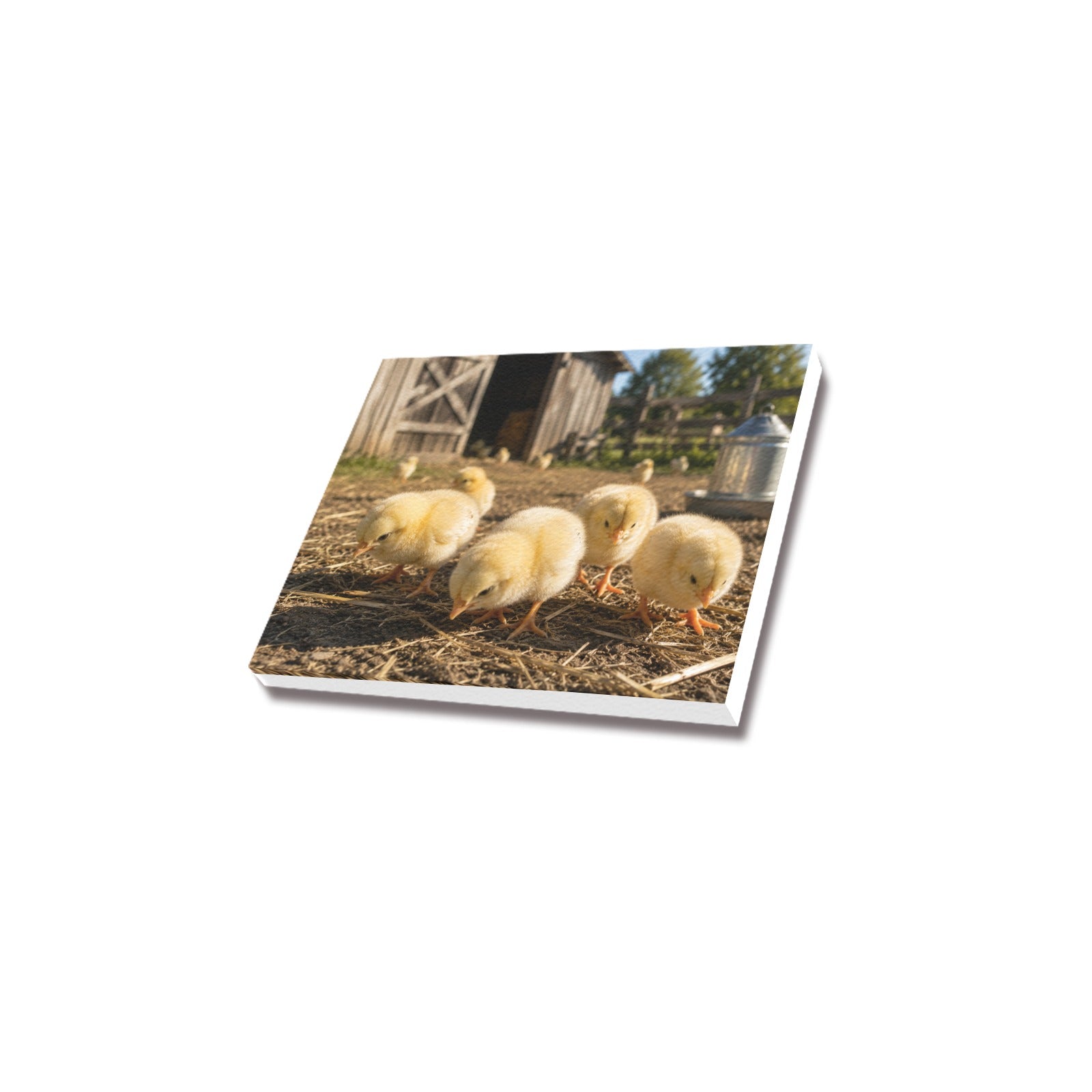 Fluffy & Free  Baby Chicks Ranch Canvas Print  Made in USA