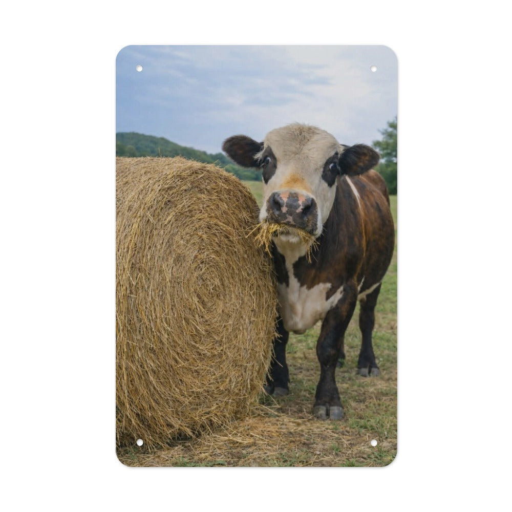Hay There, Dennis!  Wolf Hill Ranch Farmhouse Metal Tin Sign Made in USA