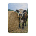 Hay There, Dennis!  Wolf Hill Ranch Farmhouse Metal Tin Sign Made in USA
