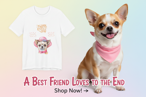 Banner with chihuahua