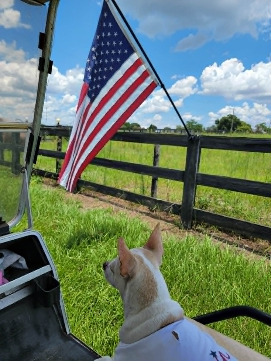 Sheriff Coco  Wolf Hill Ranch's Tiniest Deputy