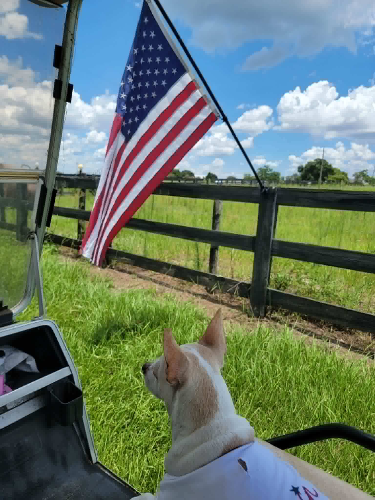 Sheriff Coco  Wolf Hill Ranch's Tiniest Deputy