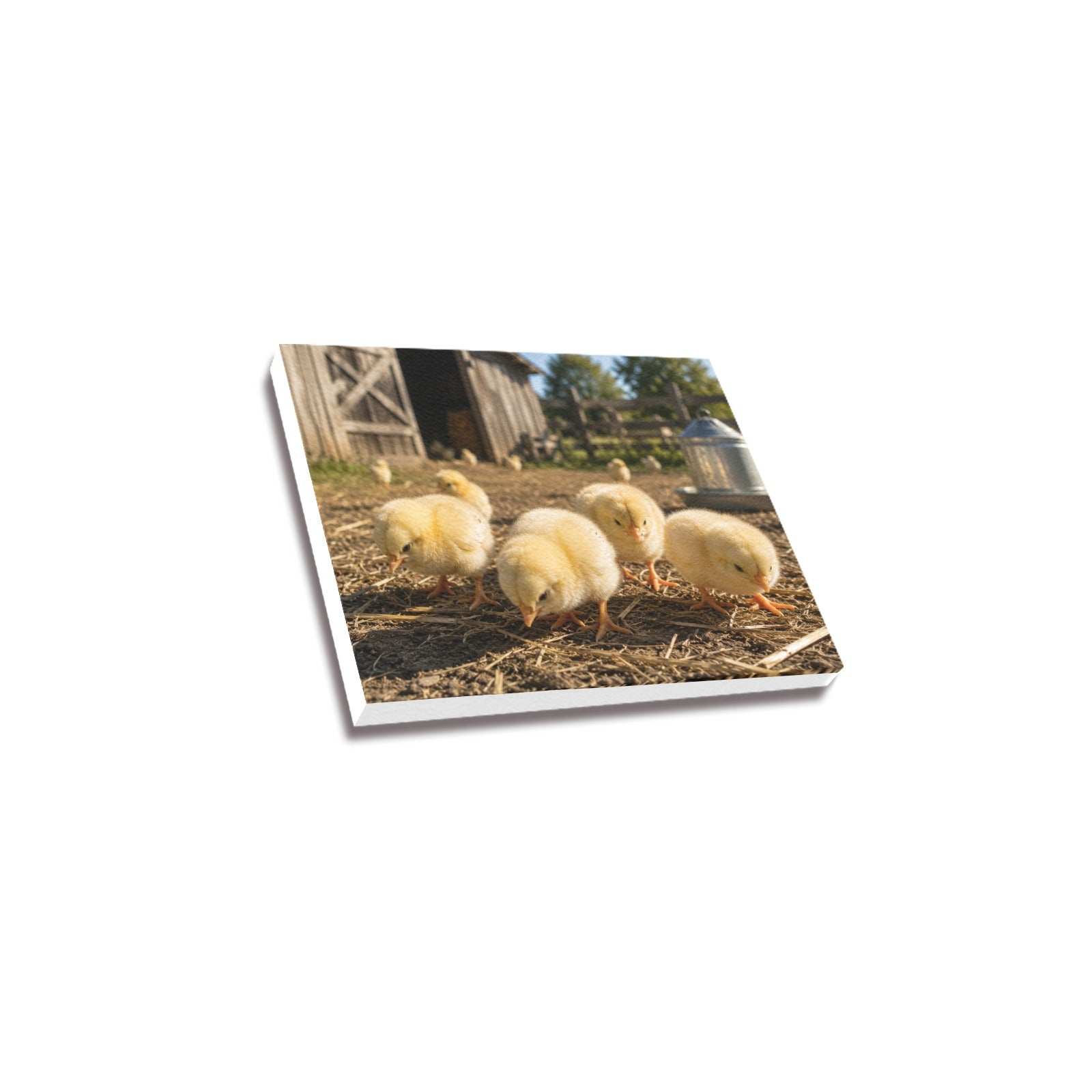 Fluffy & Free  Baby Chicks Ranch Canvas Print  Made in USA