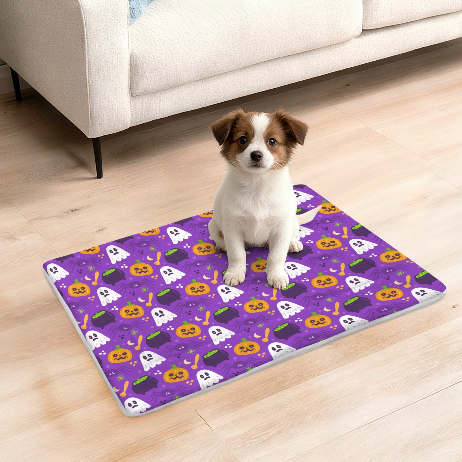 Coco's Haunted Halloween Collection  Ghost & Pumpkin Dog & Cat Mat