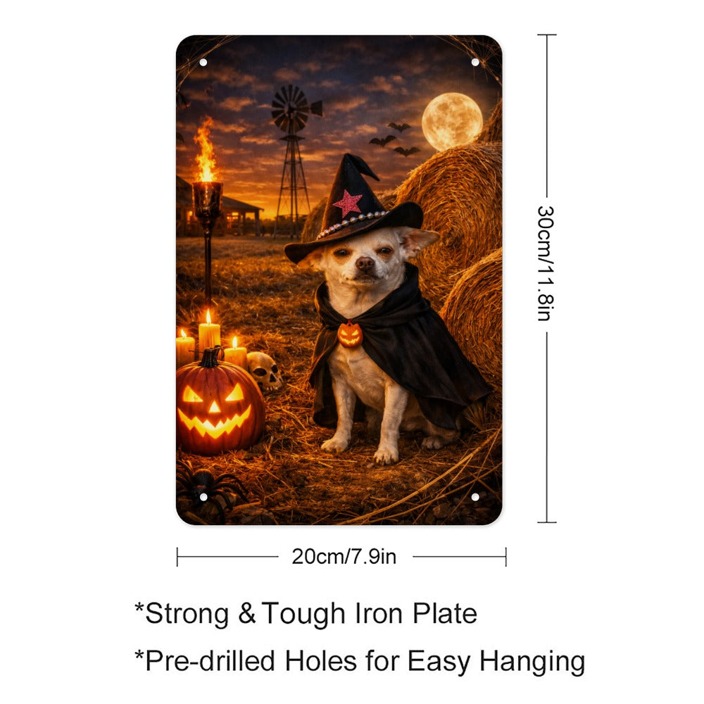 Coco of the Haunted Ranch of Wolf Hill Ranch